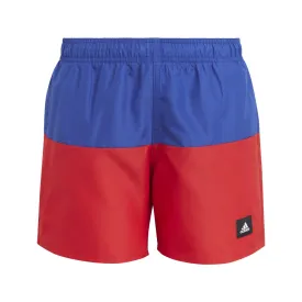 Colorblock Swim Shorts