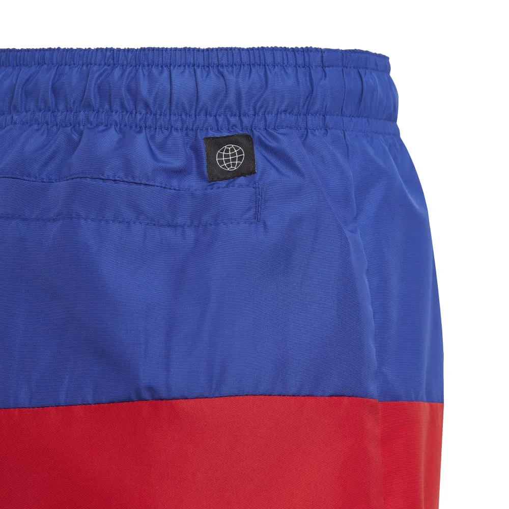 Colorblock Swim Shorts